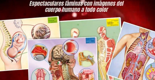 Leer Y Ver Para Aprender Cuerpo Humano Clasa Pasta Dura