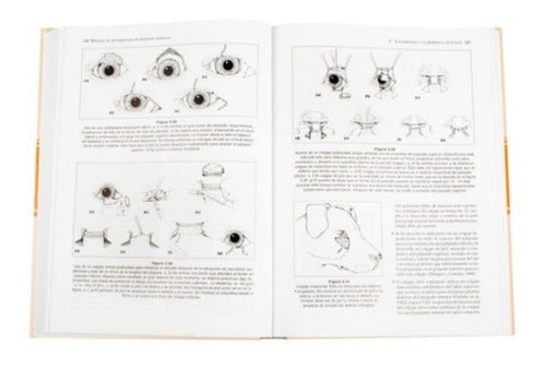 Manual De Oftalmología En Pequeños Animales