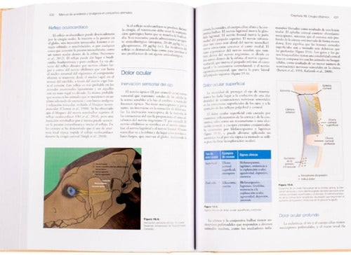 Manual De Anestesia Y Analgesia En Pequeños Animales