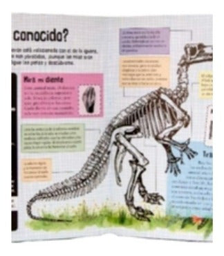 Libro Pasta Dura Huesos Y Huellas Dinosaurios Winbook