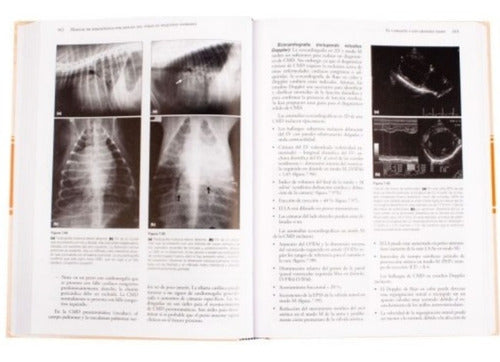 Manual De Diagnóstico Por Imagen Del Tórax Pequeños Animal