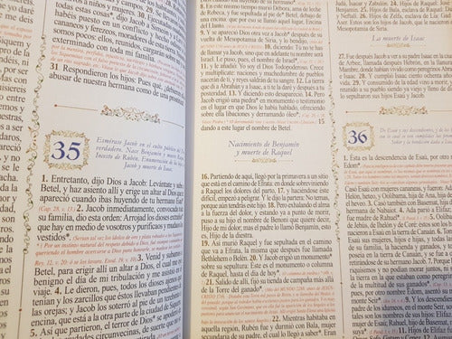 Sagrada Biblia Dorada De Lujo Edición Latinoamericana