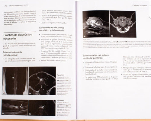 Manual De Medicina Felina Lexus Editores 1 Tomo