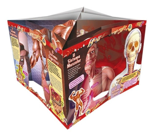 Explorando En 3d. El Cuerpo Humano Fabulosos Pop Ups