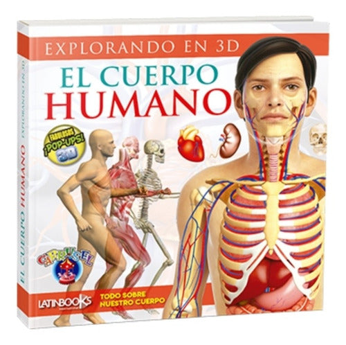 Explorando En 3d. El Cuerpo Humano Fabulosos Pop Ups