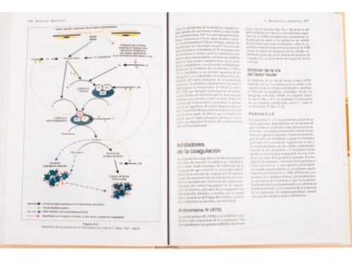 Manual De Hematología Y Transfusión En Pequeños Animales
