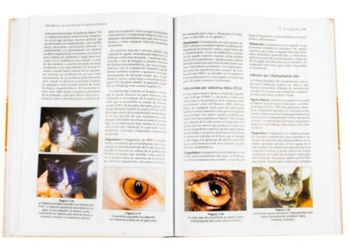 Manual De Oftalmología En Pequeños Animales