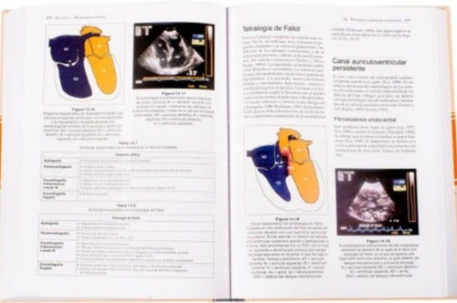 Manual De Medicina Y Cirugía Cardiorrespiratorias